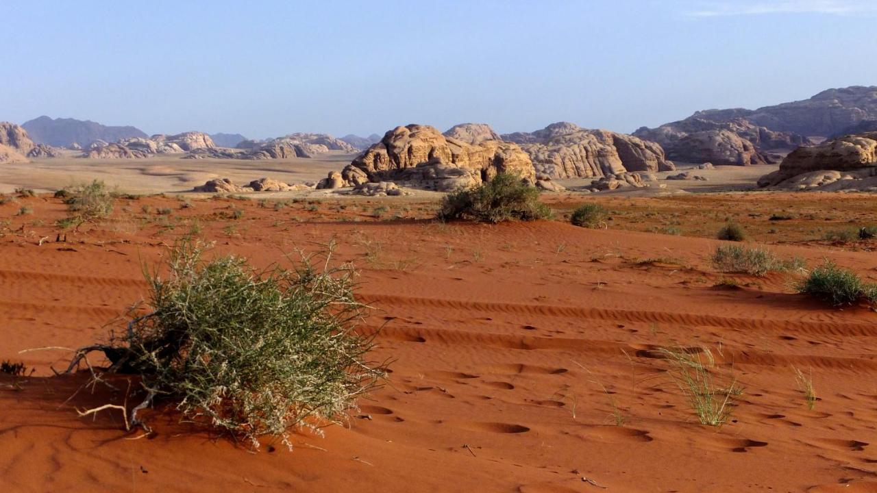Salem Camp Hotell Wadi Rum Eksteriør bilde