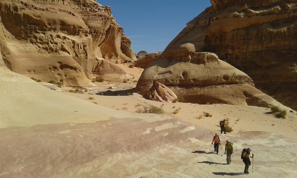 Salem Camp Hotell Wadi Rum Eksteriør bilde