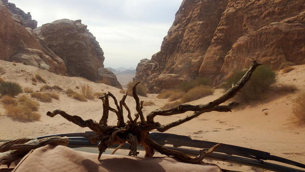 Salem Camp Hotell Wadi Rum Eksteriør bilde