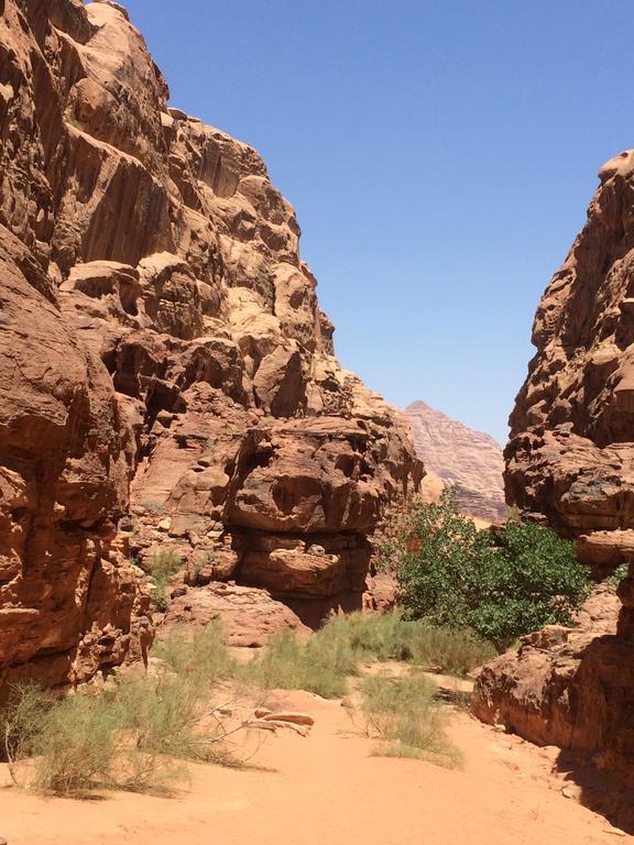 Salem Camp Hotell Wadi Rum Eksteriør bilde